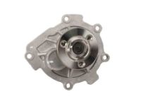 OEM Chevrolet Water Pump Assembly - 25195119