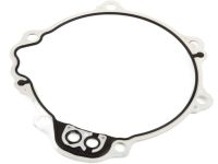 OEM Chevrolet Express 2500 Extension Housing Seal - 24265798
