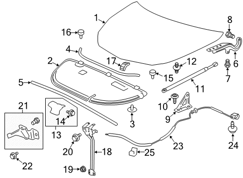 2014 Chevrolet Traverse Hood & Components Upper Hinge Bolt Diagram for 11589064