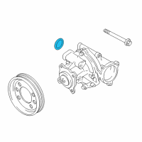 OEM Chevrolet Tracker Seal, Water Pump(O Ring) Diagram - 91174331