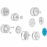 OEM Pontiac Wheel Cover Diagram - 9593365