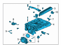 OEM Chevrolet Intake Manifold Diagram - 12703301