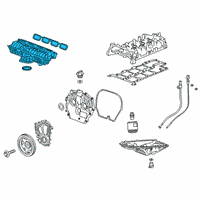 OEM Chevrolet Blazer Intake Manifold Diagram - 55506044