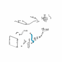 OEM Cadillac STS Radiator Outlet Hose (Lower) Diagram - 89025029