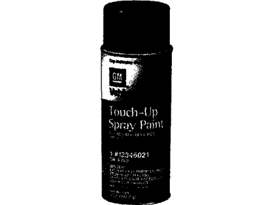 GM 12345119 Paint, Touch-Up Spray (5 Ounce) (Clear)