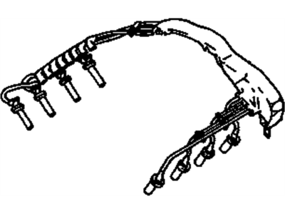 GM 19172243 Wire Kit, Spark Plug