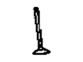 GM 24576974 Valve,Intake