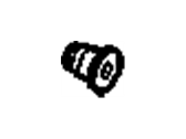 GM 12565988 Plug-Cylinder Head Oil Gallery