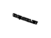 GM 15287415 Plate,Lift Gate Vehicle Name
