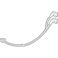 GM 12335954 Harness Assembly,Tail Lamp Wiring (Right-Hand )