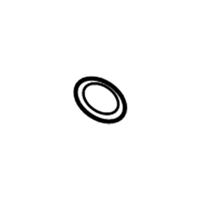 GM 12593348 Seal-Oil Filler Cap (O Ring)