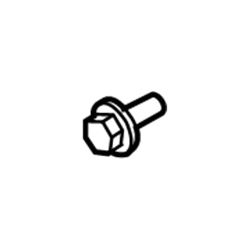 GM 11560999 Pulley Bolt