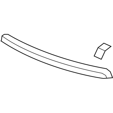 GM 20963701 Front Molding