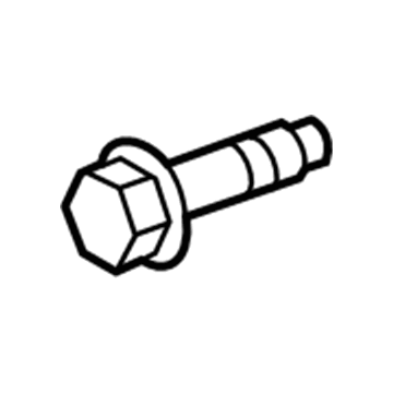 GM 11588940 Pulley Screw