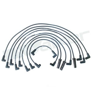 Walker Products Spark Plug Wire Set for Buick Roadmaster - 924-1407