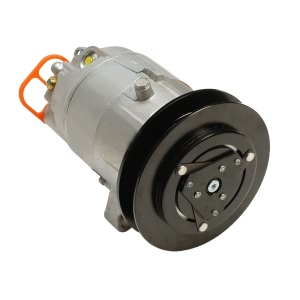 Delphi A C Compressor With Clutch for Buick - CS10074