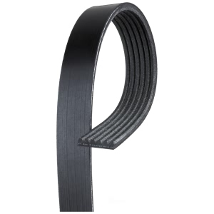 Gates Micro V V Ribbed Belt for Pontiac Sunbird - K060710