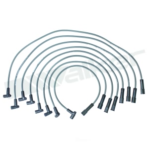 Walker Products Spark Plug Wire Set for Chevrolet K20 - 924-1513