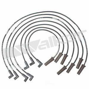 Walker Products Spark Plug Wire Set for Pontiac LeMans - 924-1334