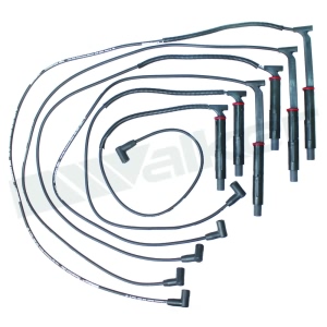 Walker Products Spark Plug Wire Set for Oldsmobile - 924-1590