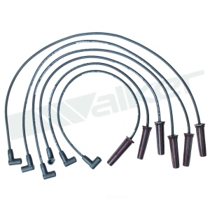 Walker Products Spark Plug Wire Set for Pontiac - 924-1666