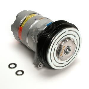 Delphi A C Compressor With Clutch for Buick - CS0086