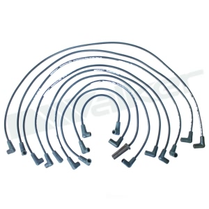 Walker Products Spark Plug Wire Set for Chevrolet Monte Carlo - 924-1423