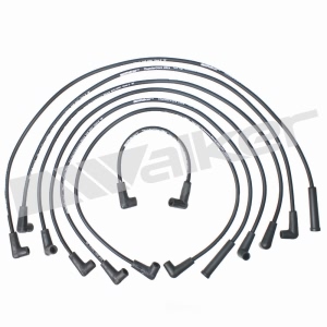 Walker Products Spark Plug Wire Set for Pontiac Bonneville - 924-1356