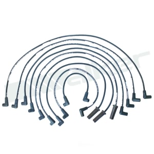 Walker Products Spark Plug Wire Set for Chevrolet Camaro - 924-1422