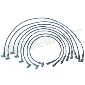 Walker Products Spark Plug Wire Set for Chevrolet C20 - 924-1414