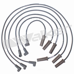 Walker Products Spark Plug Wire Set for Buick Park Avenue - 924-1365