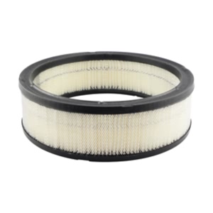 Hastings Air Filter for Buick Electra - AF60