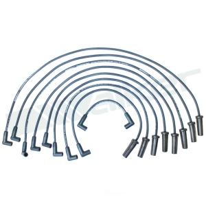 Walker Products Spark Plug Wire Set for GMC R2500 Suburban - 924-1430