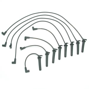 Delphi Spark Plug Wire Set for Oldsmobile Aurora - XS10247