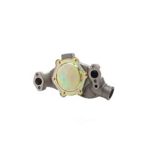 Dayco Engine Coolant Water Pump for Chevrolet K10 Suburban - DP1313