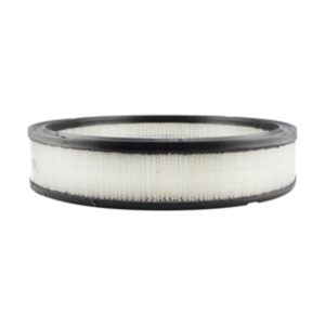Hastings Air Filter for Cadillac Fleetwood - AF146