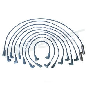 Walker Products Spark Plug Wire Set for Chevrolet G30 - 924-1438
