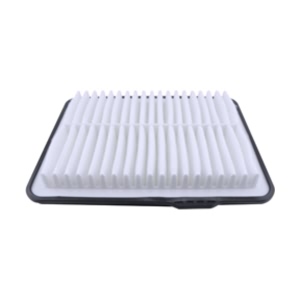 Hastings Panel Air Filter for Chevrolet Colorado - AF1397