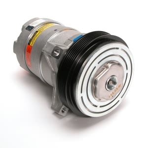 Delphi A C Compressor With Clutch for Oldsmobile 88 - CS0089