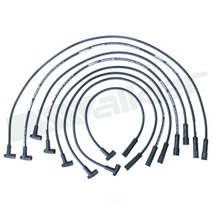 Walker Products Spark Plug Wire Set for Buick - 924-1611