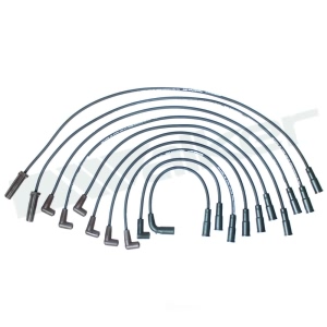 Walker Products Spark Plug Wire Set for Chevrolet Corvette - 924-1425