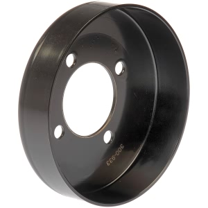Dorman Engine Coolant Water Pump Pulley - 300-933