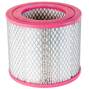 Denso Replacement Air Filter for Buick Skylark - 143-3416
