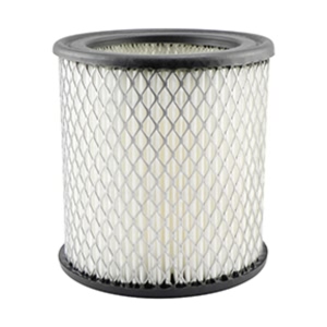Hastings Air Filter for Cadillac Allante - AF810