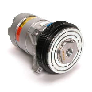 Delphi A C Compressor With Clutch for Buick Electra - CS0129