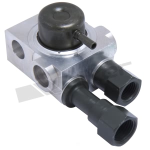 Walker Products Fuel Injection Pressure Regulator for Cadillac - 255-1009