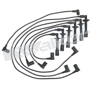 Walker Products Spark Plug Wire Set - 924-1266