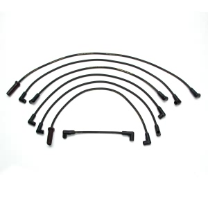Delphi Spark Plug Wire Set for Chevrolet C1500 - XS10248