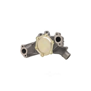 Dayco Engine Coolant Water Pump for Chevrolet C1500 - DP1011