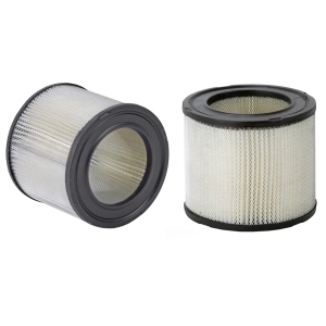 WIX Air Filter for Buick - 46179